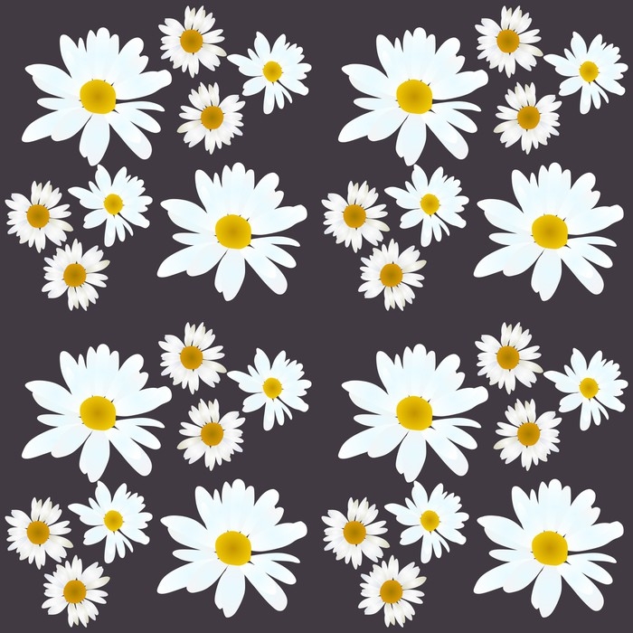 700x700 Daisy Vector Pattern. Beautiful Flowers On Black Background. Wall