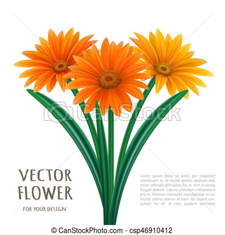 450x470 Hand Drawn Vector Realistic Illustration Of Gerbera Daisy Flower