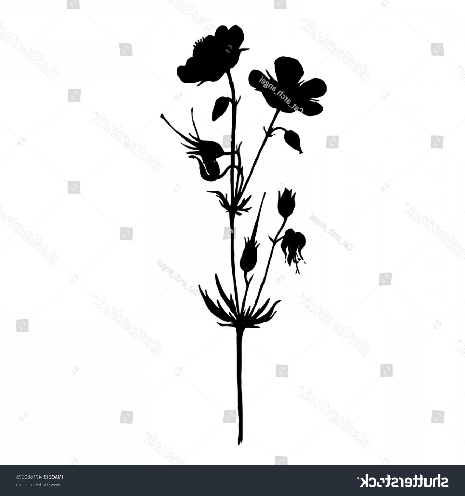 1800x1920 Hummingbird Daisy Vector Shopatcloth