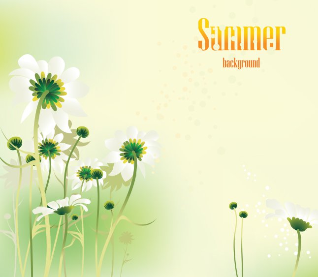 646x563 Summer Daisy Vector Background Vector Art Amp Graphics