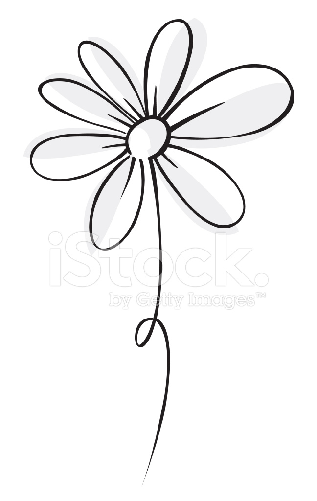 648x1024 Vector Daisy Stock Vector