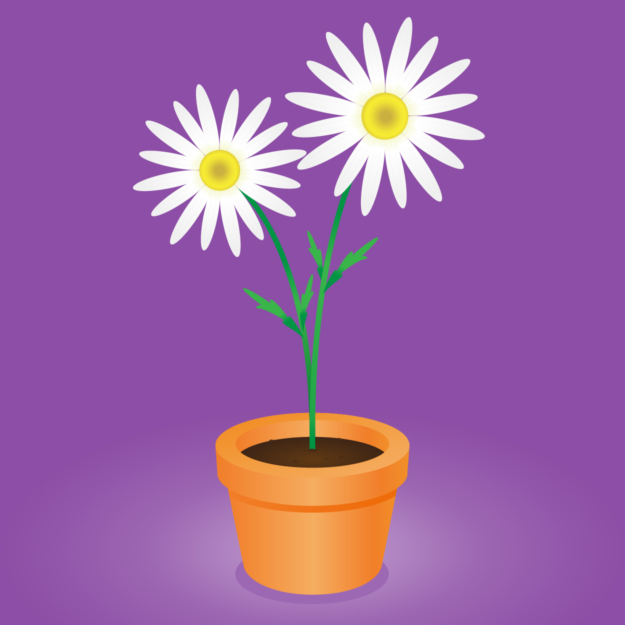 1250x1250 Daisy Flower Pot Vector Illustration Of An Orange Clay Flower