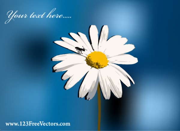 600x438 Daisy Vector On Blue Background