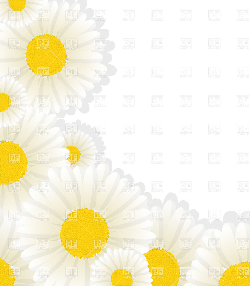 1050x1200 Daisy Corner Design With Copy Space Vector Image Vector Artwork