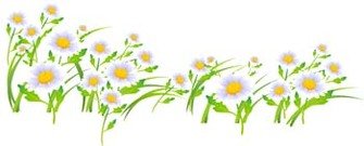 335x135 Free Daisy Flower Field Background Clipart And Vector Graphics