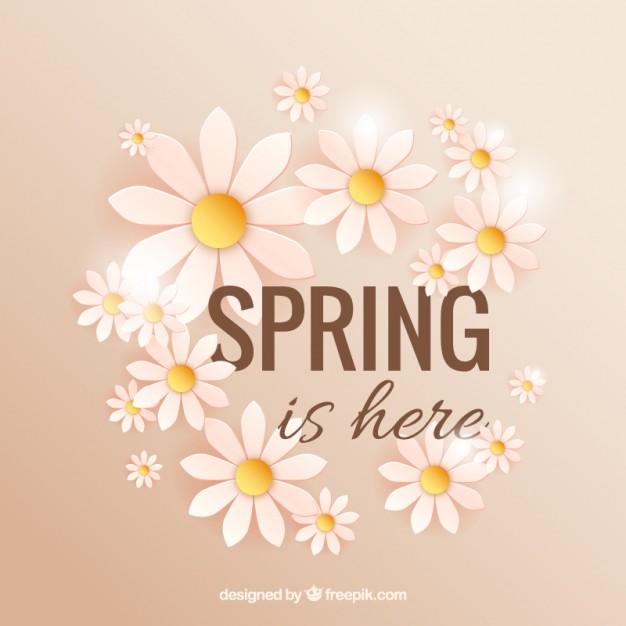 626x626 Spring Is Here With Daisies Vector Free Download