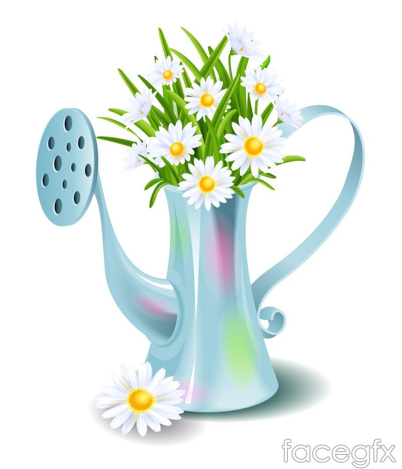 800x933 Beautiful Shower Pot With Daisies Vector Free Vectors