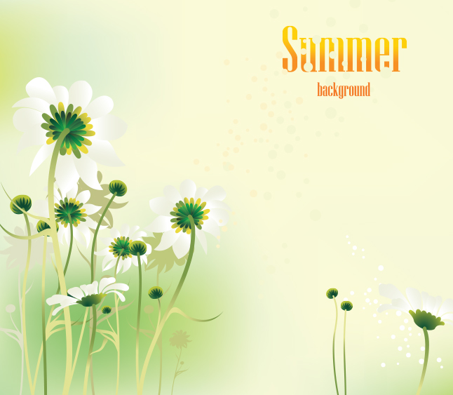 646x563 Summer Daisy Vector Background Vector Art Amp Graphics