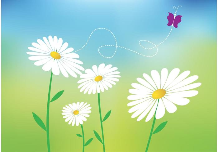 700x490 Daisy Vectors