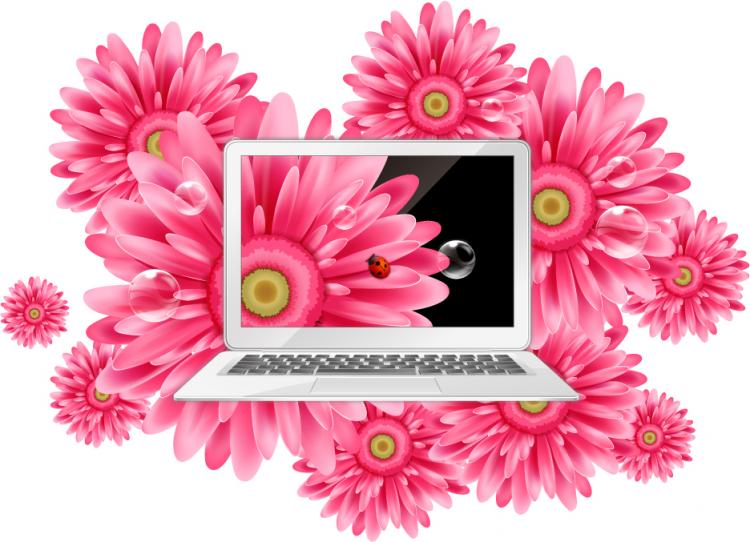 750x542 Daisy And Beautiful Laptop Vector Free Vector 4vector