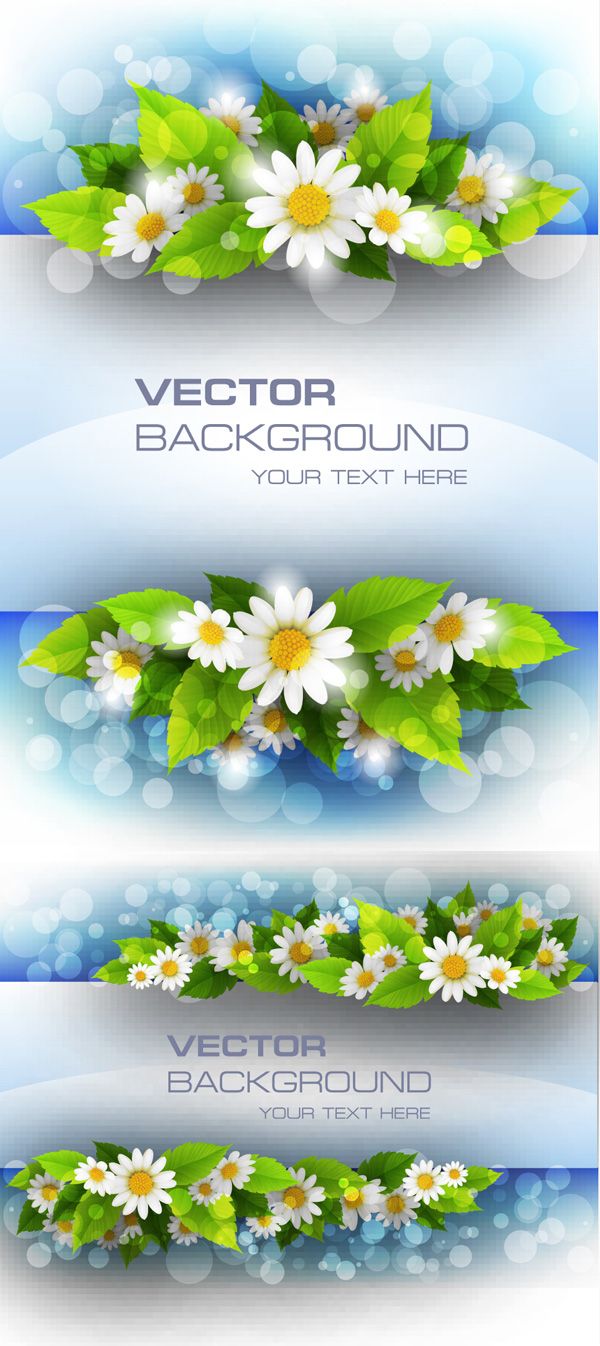 600x1346 Daisy Banner Design Vector Graphic Download Landscape Pictures