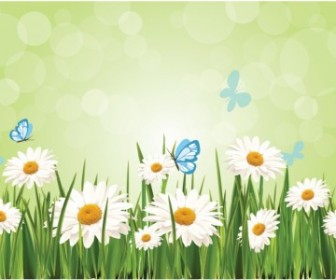 336x280 Vector Spring Daisy Background Flower Vector Art
