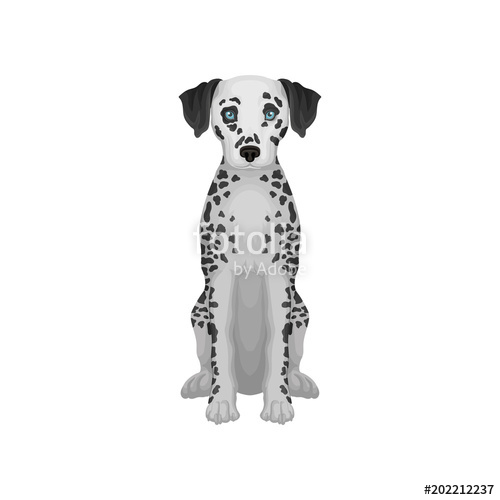 Dalmatian Vector