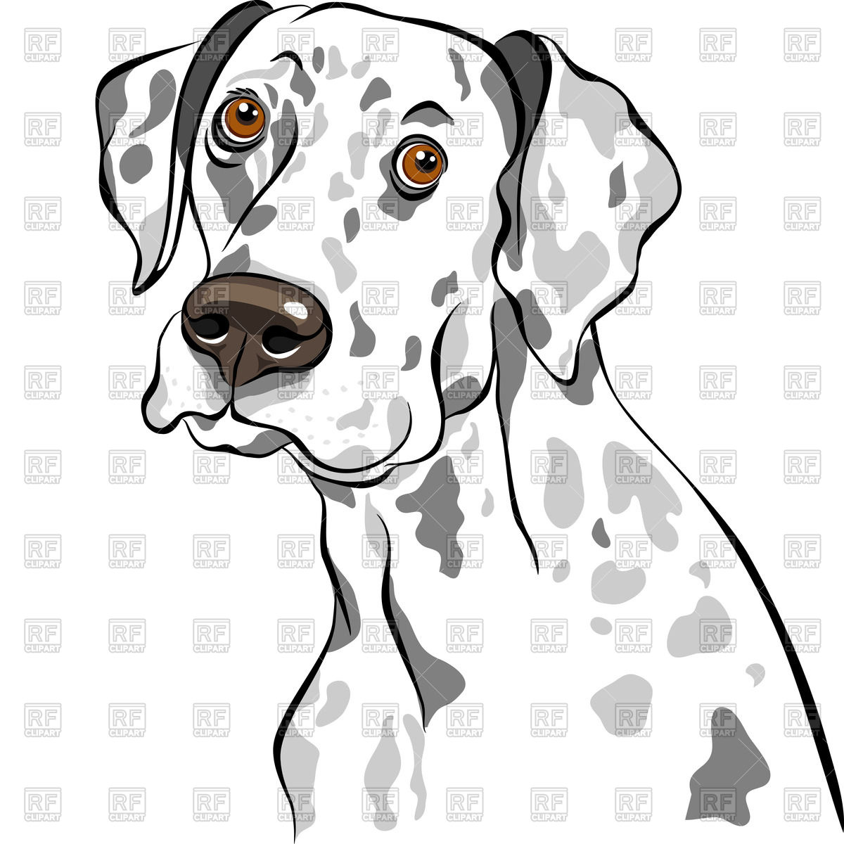 1200x1200 Dalmatian Portrait Vector Image Vector Artwork Of Plants And