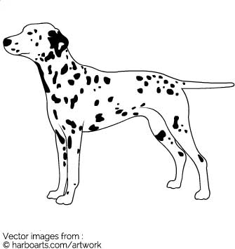 335x355 Download Dalmatian