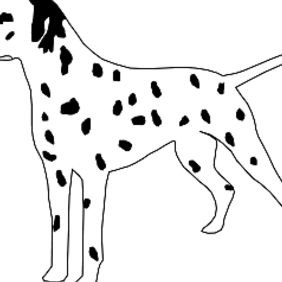 282x282 Free Dalmatian Vector Free Vector Download 242719 Cannypic