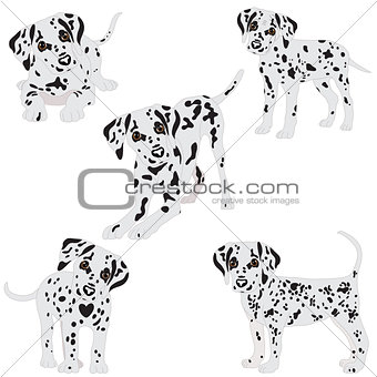 340x340 Image 7113824 Dalmatians, Cute, Sad. Vector Illustration