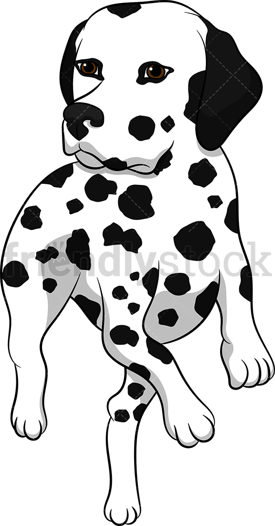 556x1064 Running Dalmatian Dog Front View Cartoon Vector Clipart