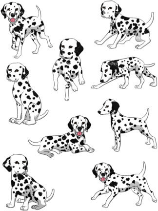 324x432 Sniffing Dalmatian Dog Cartoon Vector Clipart
