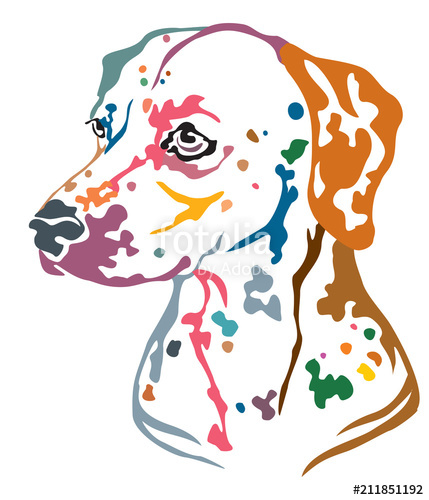 429x500 Colorful Decorative Portrait Of Dog Dalmatian Vector Illustration