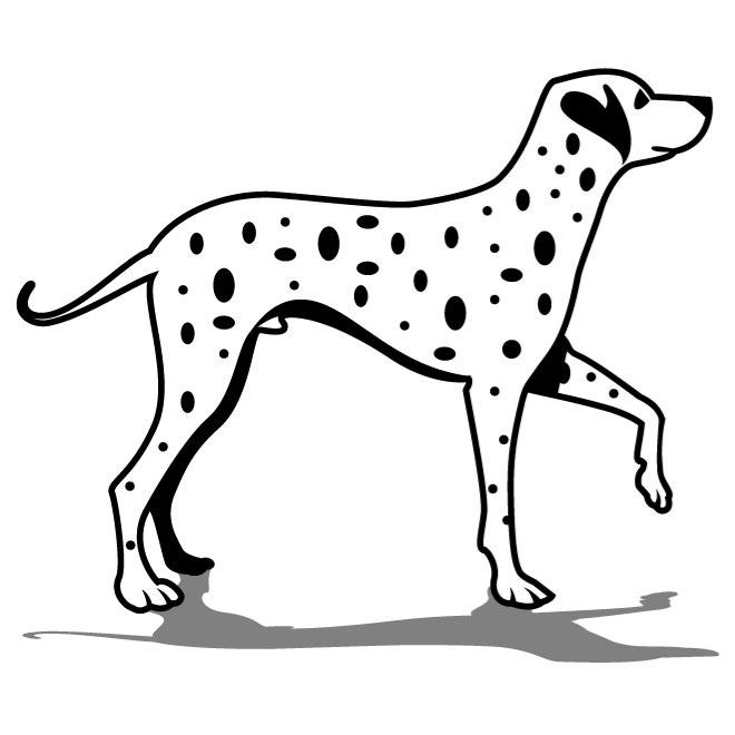 660x660 Dalmatian Dog Vector Art