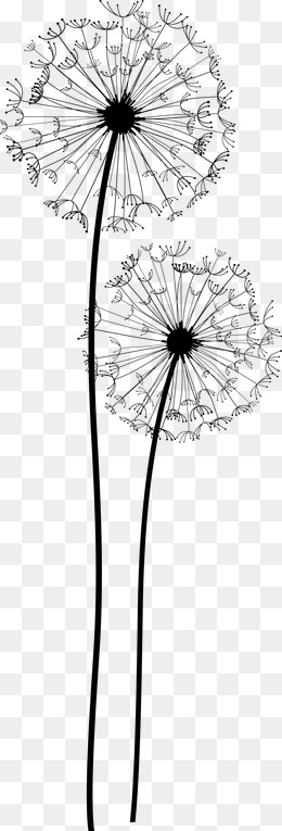 260x765 Dandelion Vector Png, Vectors, Psd, And Clipart For Free Download