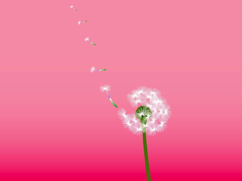 1024x768 Dandelion Vector Vector Art Amp Graphics