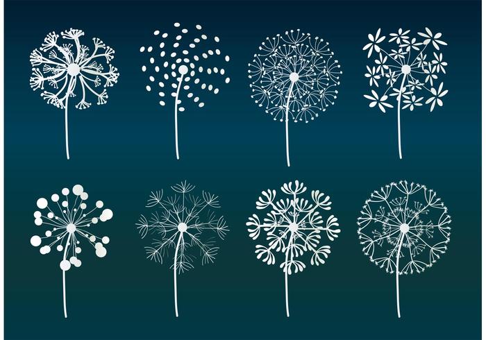 700x490 Dandelion Vectors