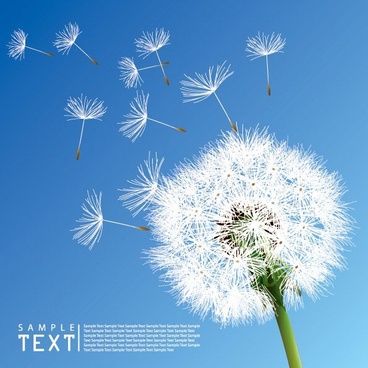 368x368 Dandelion Free Vector Download (94 Free Vector) For Commercial Use