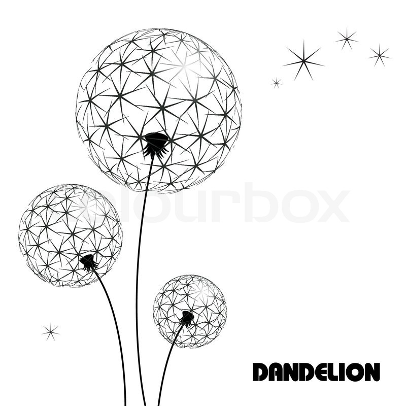 800x800 Abstract Dandelion Stock Vector Colourbox