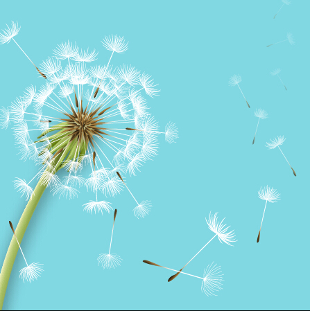 447x449 Shiny Dandelion Vector Backgrounds Material 01 Free Download