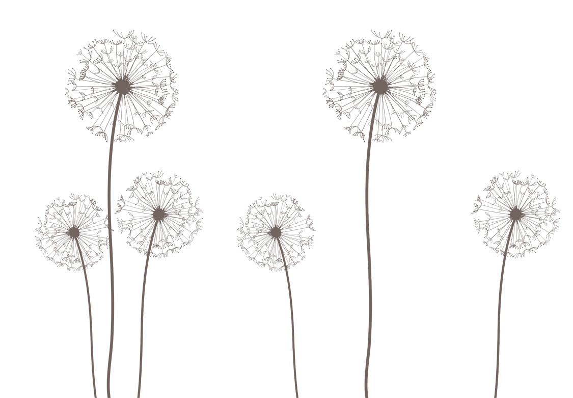 1125x781 Vector Dandelion Vector 02 By Dragonart 9062.png Festival Beach