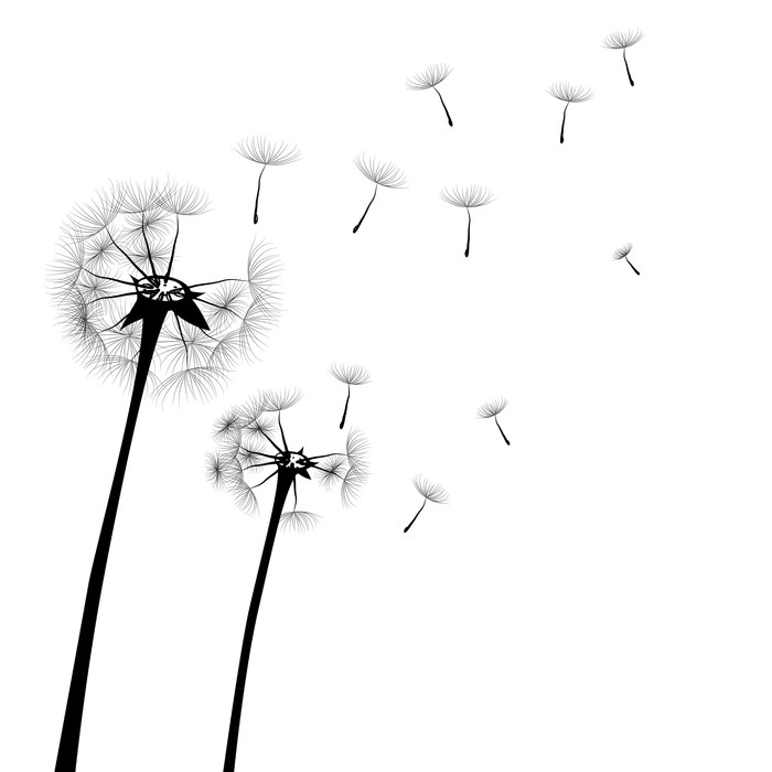 700x700 Dandelion, Vector Wall Decal We Live To Change