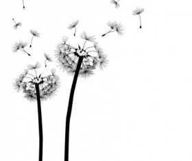 280x235 Dandelion Vector