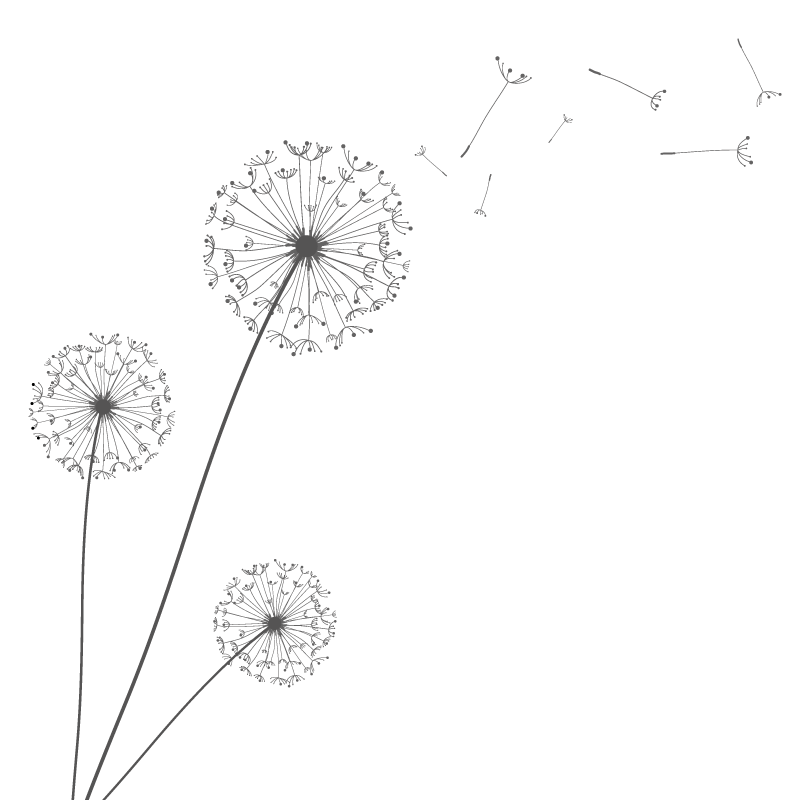 Dandelion Vector Png at GetDrawings | Free download