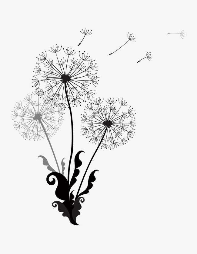 650x835 Vector Black And White Dandelion, Vector, Dandelion, Black And