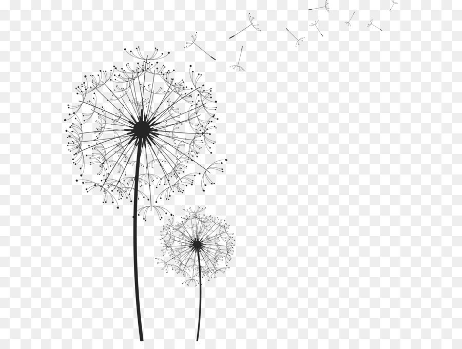 900x680 Common Dandelion Euclidean Vector Clip Art