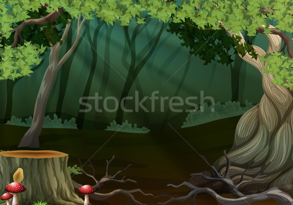 600x419 Dark Forest With Stump Tree Vector Illustration Daniel Cole