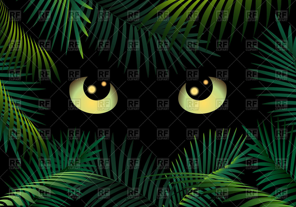 1200x840 Wild Cat Eyes In Dark Night Forest Vector Image Vector Artwork