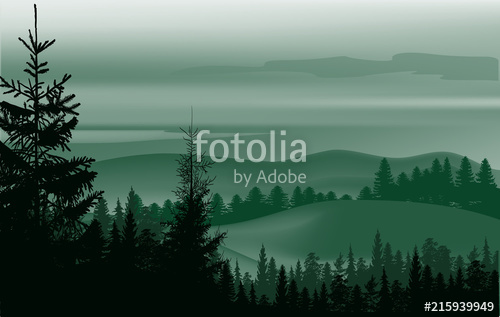 500x317 Green Fir Dark Forest In Hills Stock Image And Royalty Free