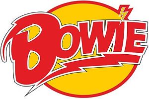 300x199 David Bowie Vector T Shirt Rock Music Band Legend 1947