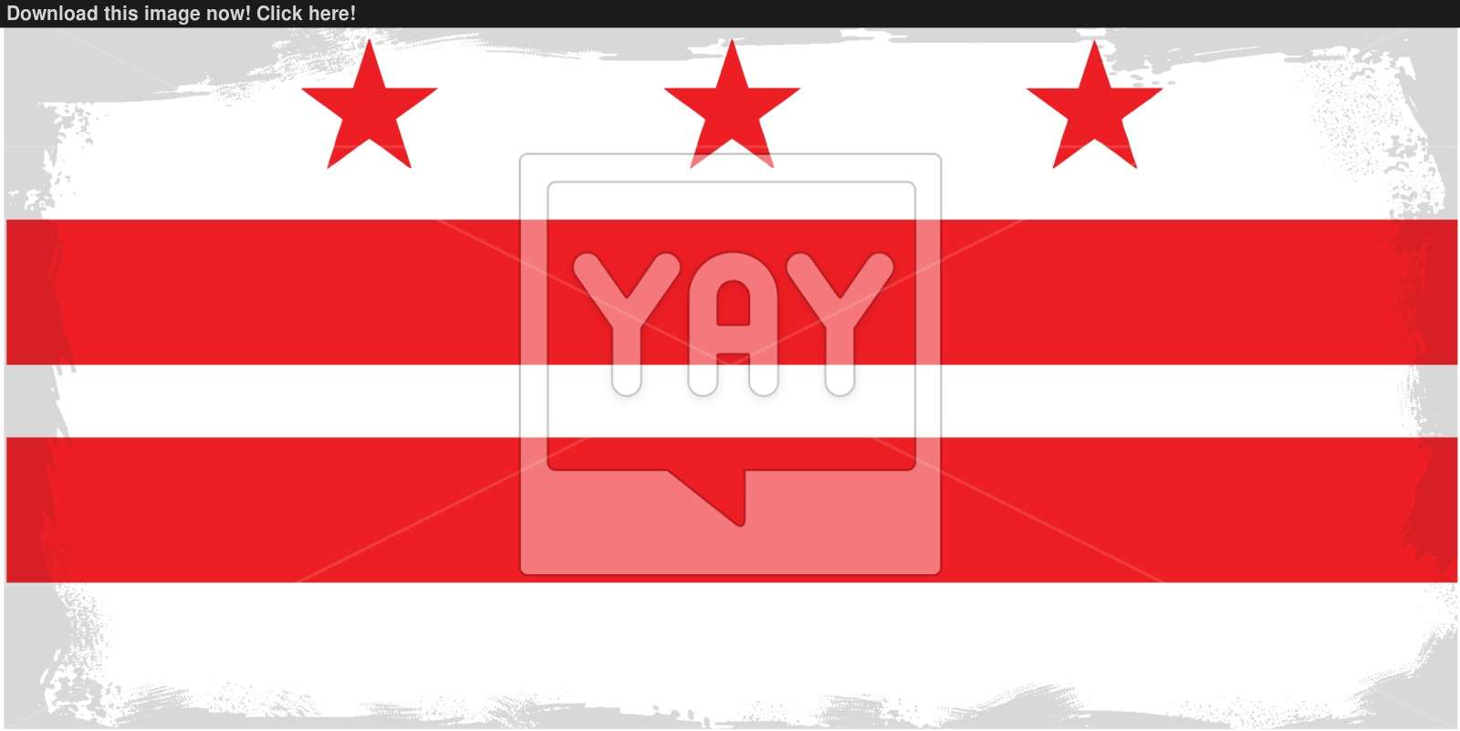 1600x801 Washington Dc City Flag Vector