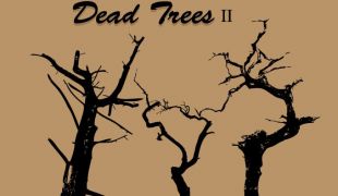 310x180 Dead Tree Vector 1 Free Vectors Ui Download