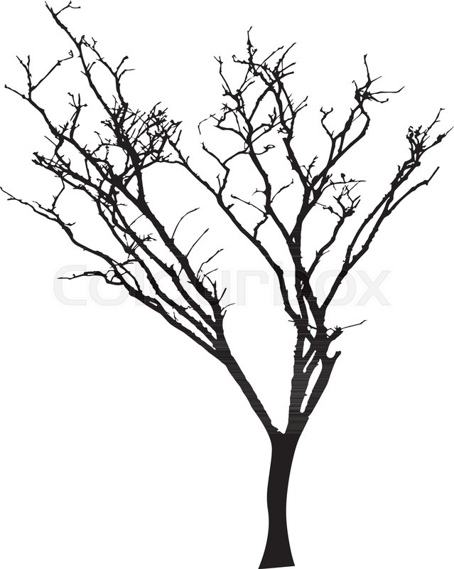 639x800 Dead Tree Without Leaves Vector Stock Vector Colourbox