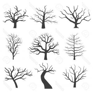 300x300 Photostock Vector Dead Tree Silhouettes Dying Black Scary Trees