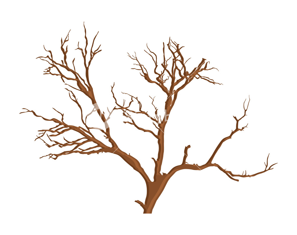 1000x792 Spooky Dead Tree Vector Royalty Free Stock Image
