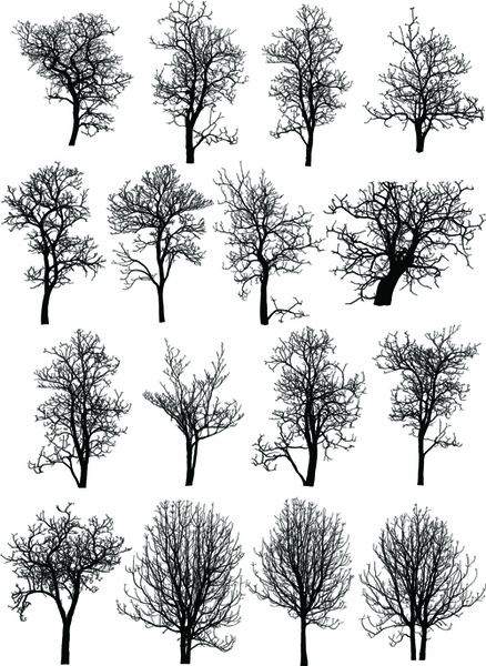 438x600 Various Dead Trees Vector Set Free Vector In Adobe Illustrator Ai