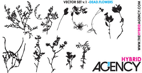 568x294 Free Free Vector Dead Flowers Psd Files, Vectors Amp Graphics