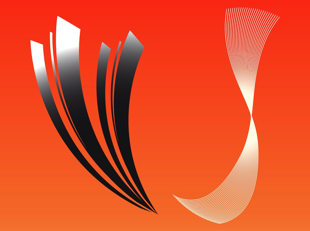 1024x765 Decorative Vector Lines Vector Art Amp Graphics