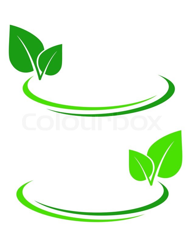 618x800 Background With Green Leaf And Decorative Lines Stock Vector